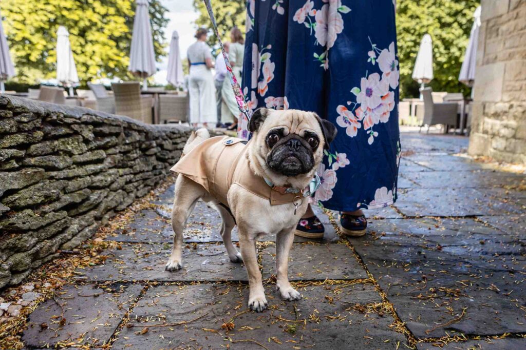 The Hare and Hounds Tetbury Wedding Photos