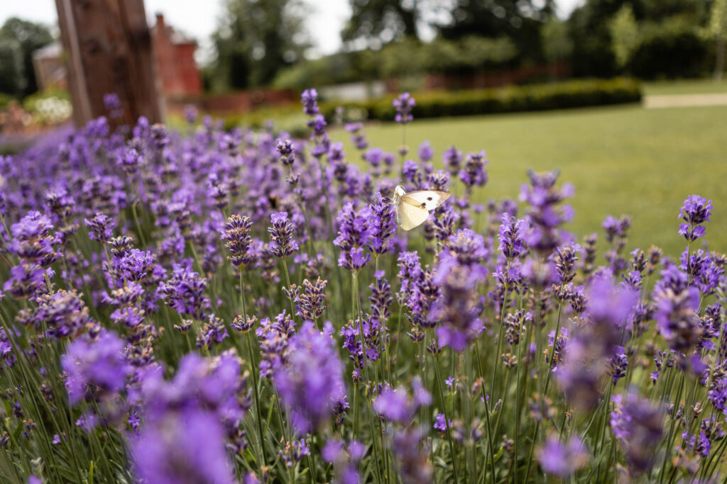 Syrencot wedding venue in Wiltshire | Syrencot wedding photographer