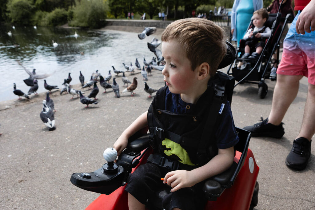Boy in wheelchair watching pigeons by a lake